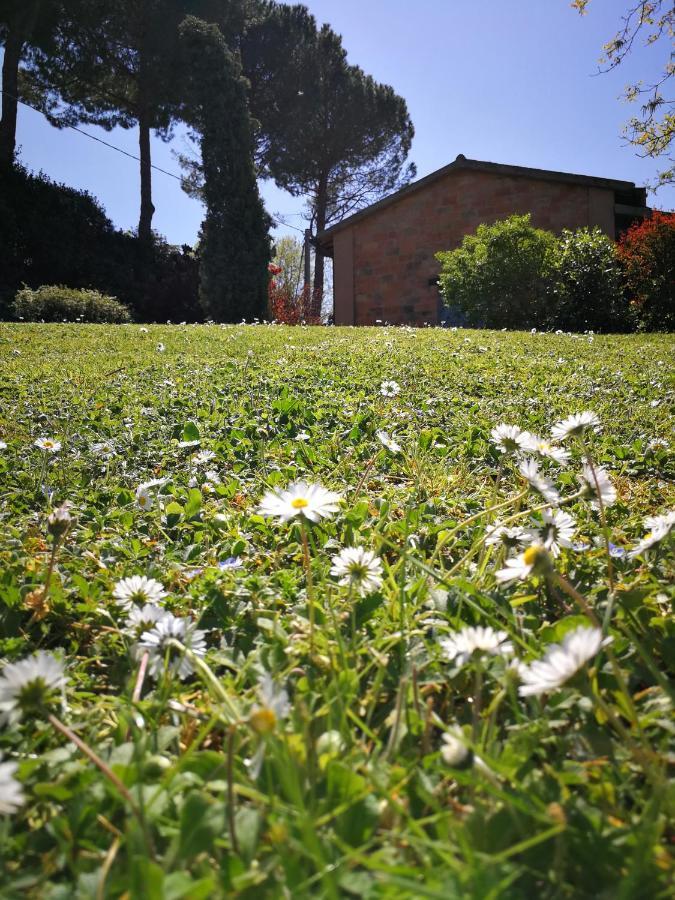 Alloggio Al San Girolamo Longiano Exteriér fotografie