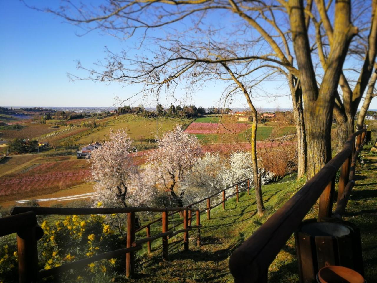 Alloggio Al San Girolamo Longiano Exteriér fotografie